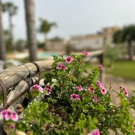 Gio Sicily Holidays * Marsala